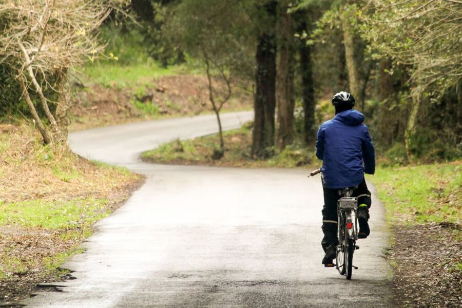 From Lisbon: Sintra to Cascais Full-Day Guided E-Bike Tour - FAQ
