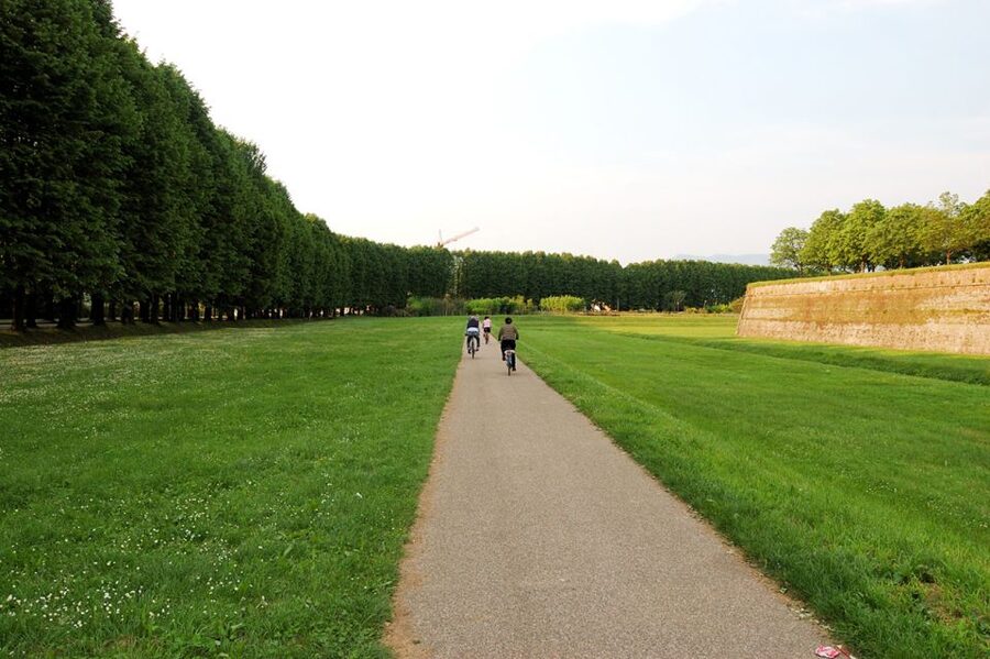From Lucca to Pisa: Self-Guided Bike Tour - The scenic middle section and its road cautions