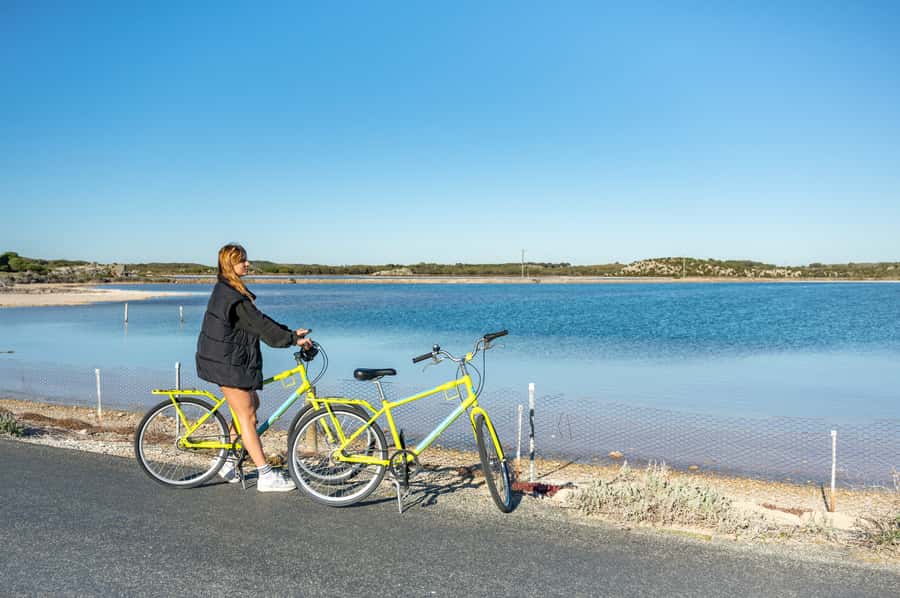 From Perth: Rottnest Island Full-Day Bike and Ferry Trip - Key points to know before you book