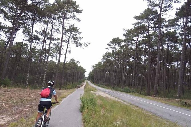 From Porto with view to Gaia: Private Bike Tour #DuckSideOfPorto - What your guide adds to the morning