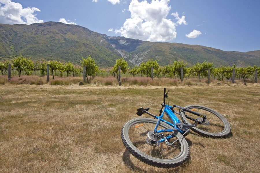 From Queenstown: 'Valley of the Vines' Wine and Bike Tour - Who will enjoy this tour most