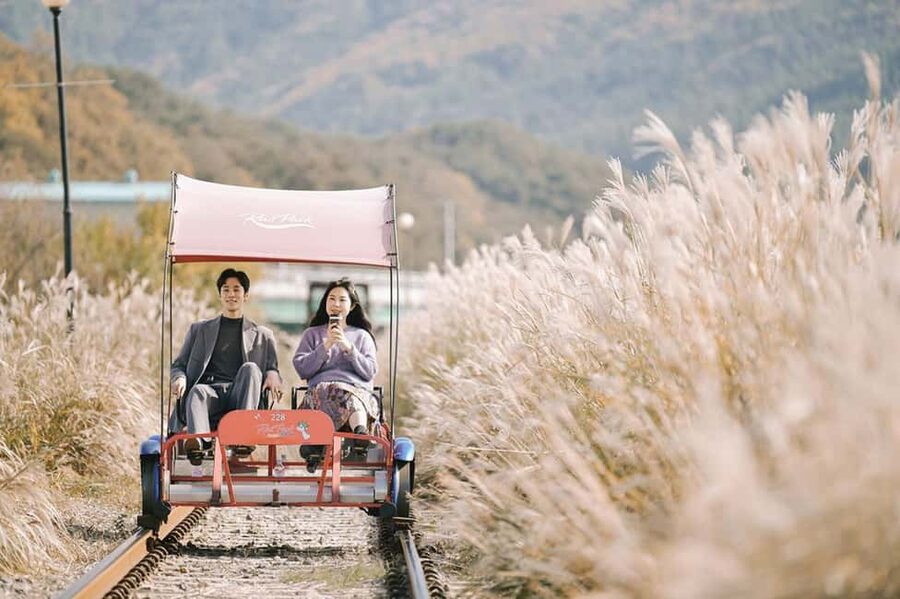 From Seoul: Nami Island, K-drama Garden & Rail Bike Day Tour - Key points to know before booking