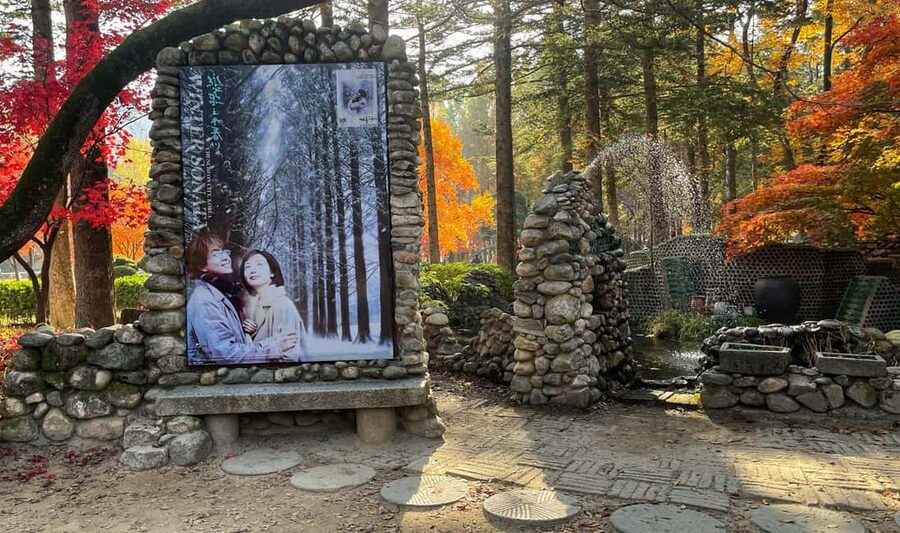 From Seoul: Nami Island, K-drama Garden & Rail Bike Day Tour - What the $61 price really buys you