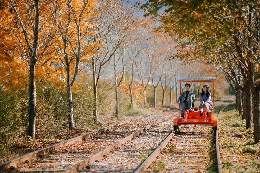From Seoul: Nami Island, K-drama Garden & Rail Bike Day Tour - Why this Seoul day trip works