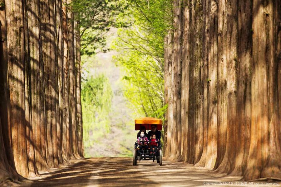 From Seoul: Nami Island, K-drama Garden & Rail Bike Day Tour - Nami Island and its K-drama atmosphere