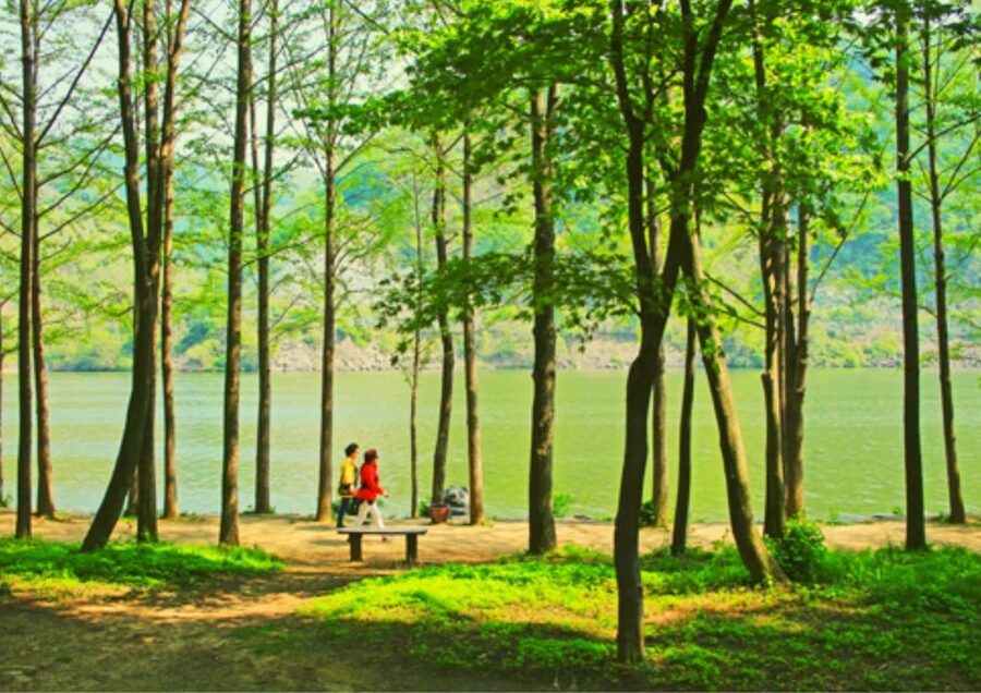 From Seoul: Nami Island, K-drama Garden & Rail Bike Day Tour - Pedaling the Gangchon Rail Bike