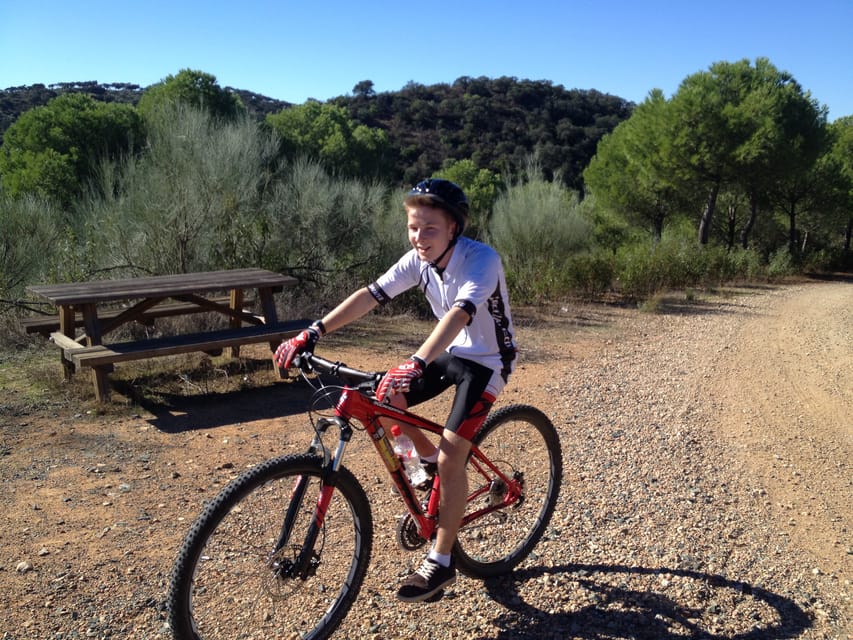 From Seville: Half-Day Guided Bike Trip to Italica - Walking through Itálica’s houses and mosaics