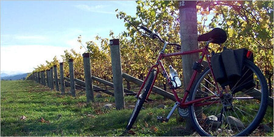 From Siena: Chianti Countryside E-Bike Tour w/ Lunch & Wine - Why this is a smart way to see Chianti