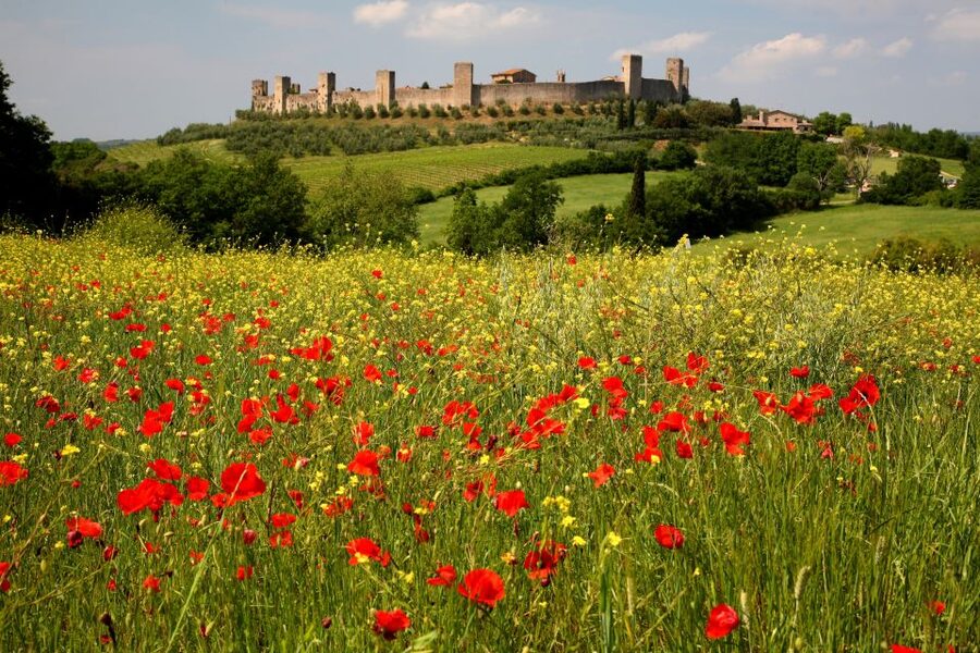 From Siena: Chianti Countryside E-Bike Tour w/ Lunch & Wine - Meeting at Siena train station