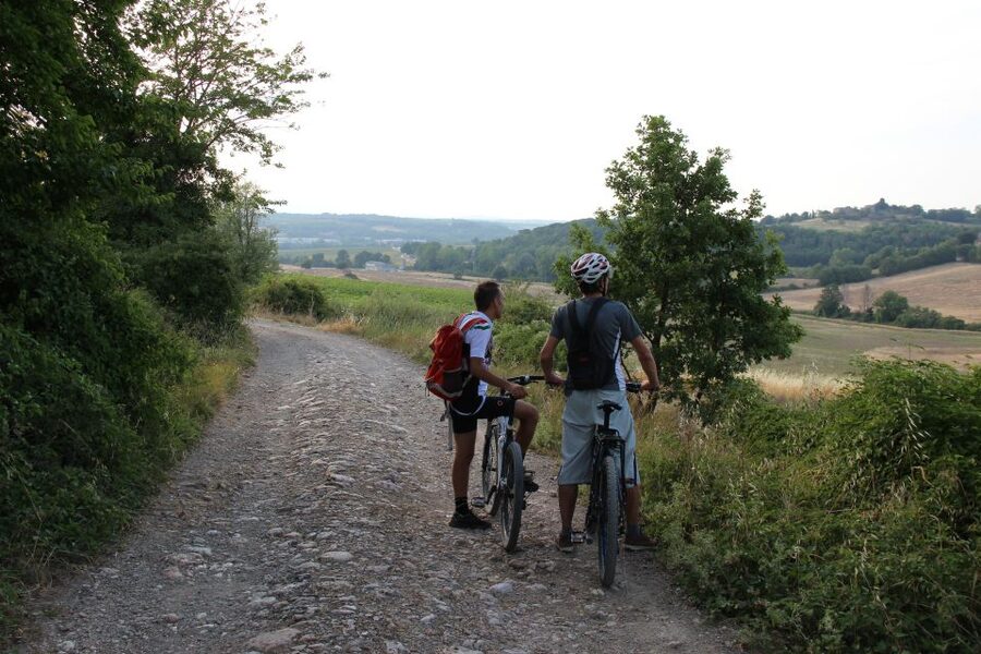 From Siena: Chianti Countryside E-Bike Tour w/ Lunch & Wine - The return ride to Siena