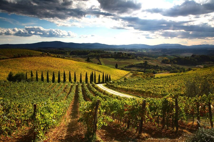 From Siena: Chianti Countryside E-Bike Tour w/ Lunch & Wine - How the price compares with the experience