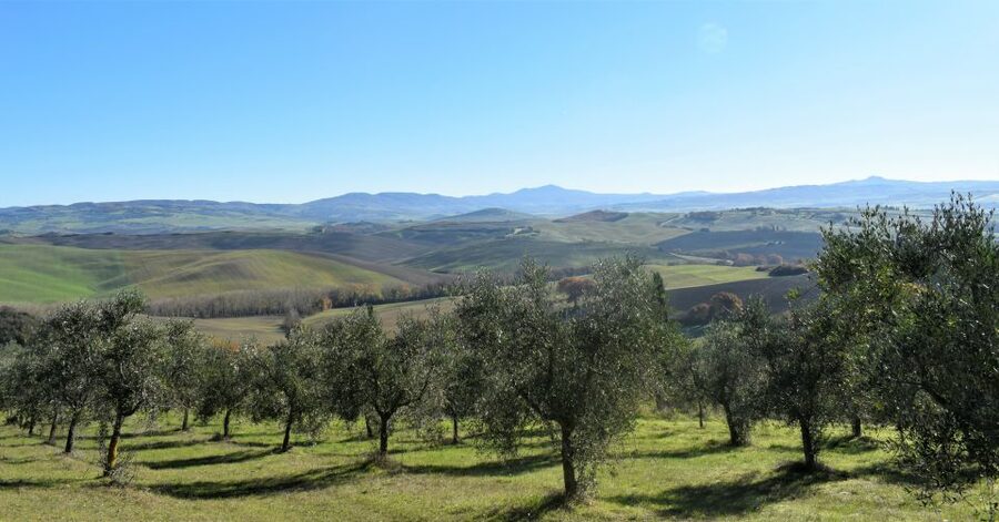 From Siena: Chianti Countryside E-Bike Tour w/ Lunch & Wine - Who will enjoy this ride most