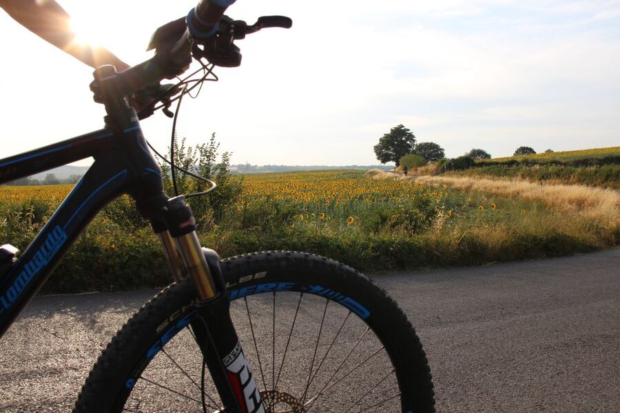 From Siena: Chianti Countryside E-Bike Tour w/ Lunch & Wine - Should you book the Chianti e-bike tour?