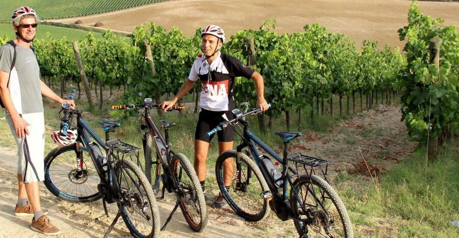 From Siena: Chianti Countryside E-Bike Tour w/ Lunch & Wine - Twenty kilometers through vineyards and olive groves