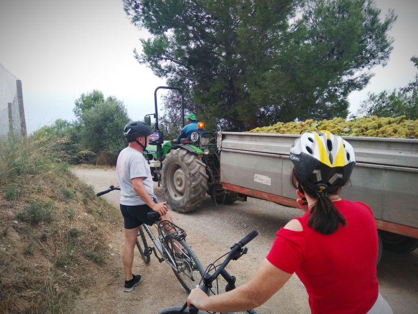 From Sitges: Cycling Tour with Winery visit and Tasting - Simple booking advice before you go
