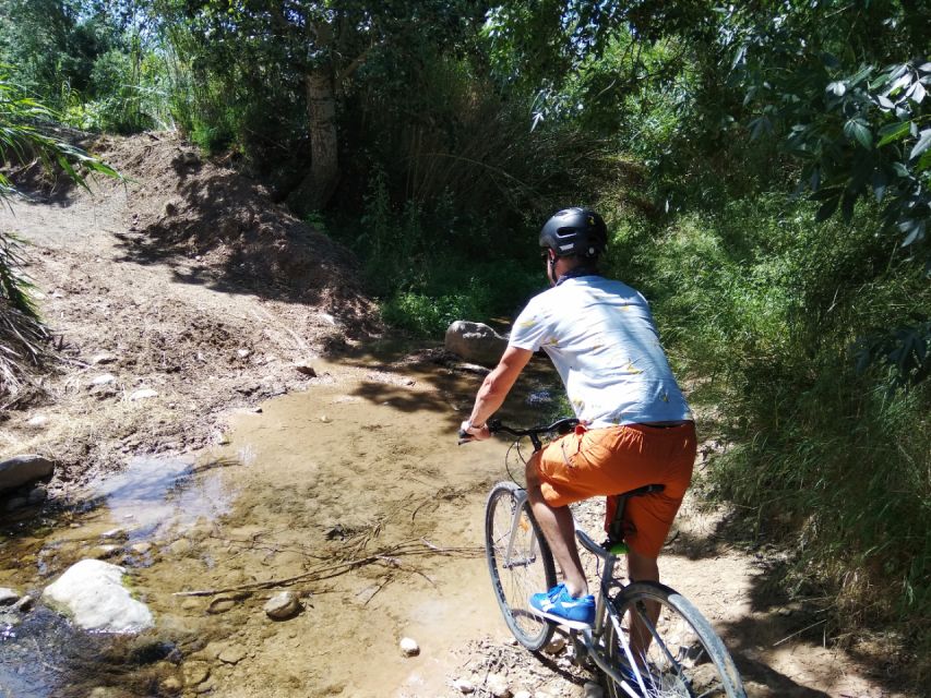 From Sitges: Paella Masterclass, Bike Ride and Winery Visit - The $130 price and what you receive