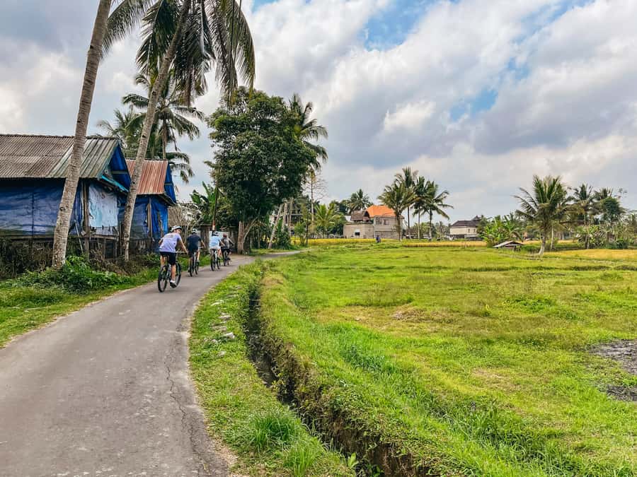From Ubud: Downhill Bike Tour with Rice Terraces and Meal - Starting high above Ubud at Kintamani