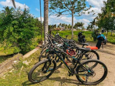 Downhill Bike Tour with Rice Terraces and Meal