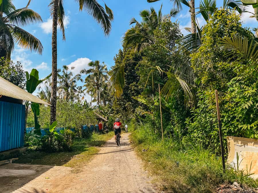 From Ubud: Downhill Bike Tour with Rice Terraces and Meal - Rice terraces and the subak water system
