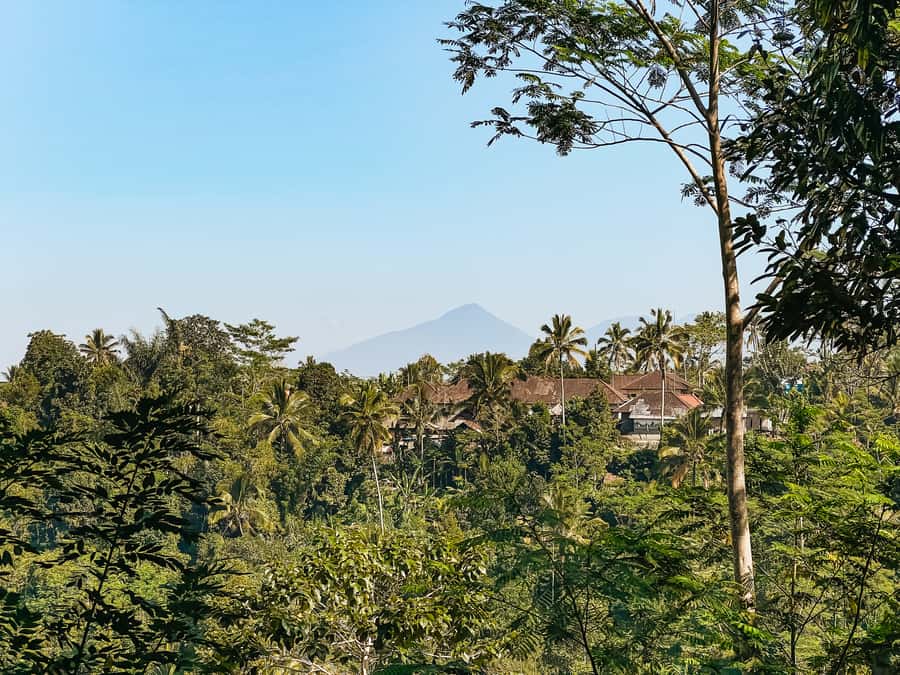 From Ubud: Downhill Bike Tour with Rice Terraces and Meal - Is $40 a good value?