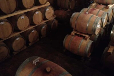 Amarone Wine E-Bike Tour with Tasting