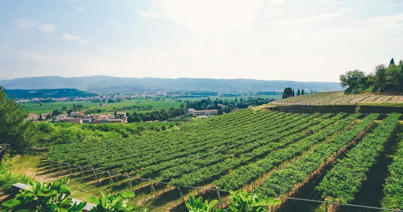 From Verona: Amarone Wine E-Bike Tour with Tasting - Practical details that make the day easier
