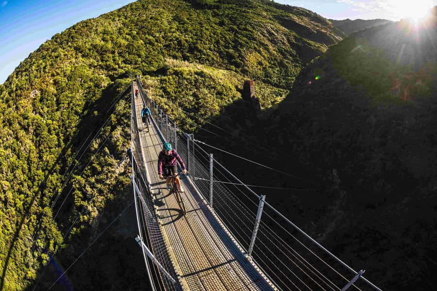 From Wellington: Remutaka Rail Trail eBike Tour - Why the Remutaka Rail Trail is more than a bike ride