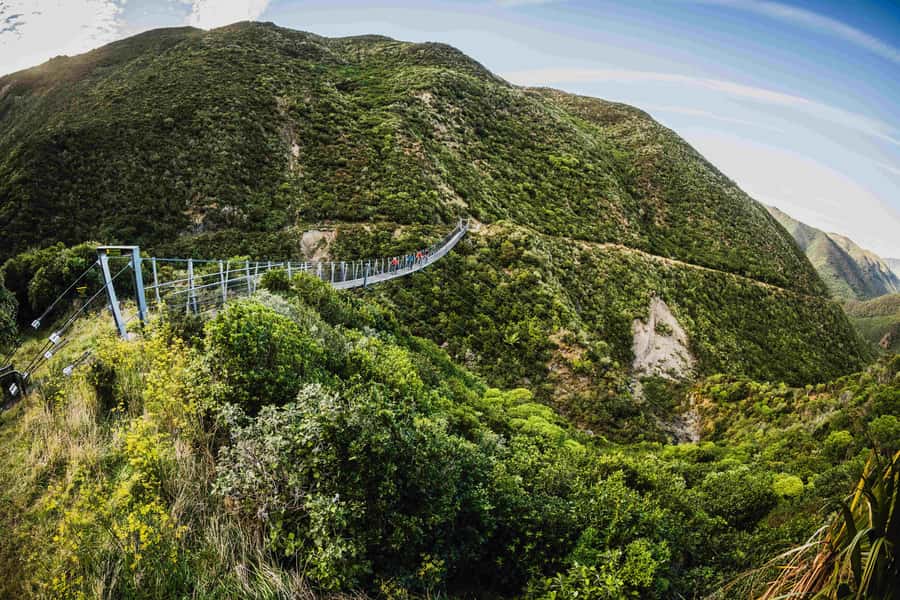 From Wellington: Remutaka Rail Trail eBike Tour - The morning shuttle from Wellington