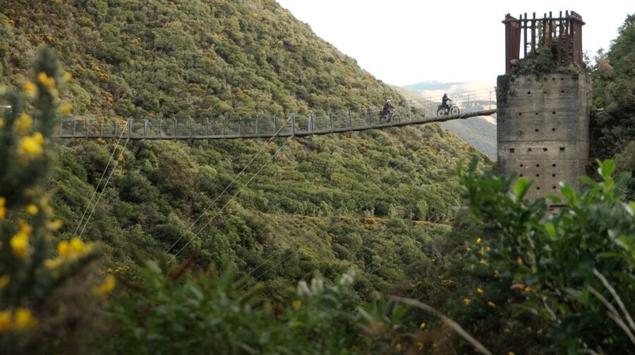 From Wellington: Remutaka Rail Trail eBike Tour - Headlights on inside the railway tunnels