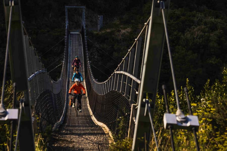 From Wellington: Remutaka Rail Trail eBike Tour - Bridges, mountain views, and the grassy summit