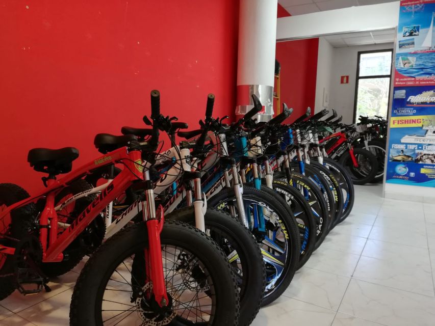 Fuerteventura: Explore the Area with a Bike Rental - Longer Rides to Lajares and El Cotillo
