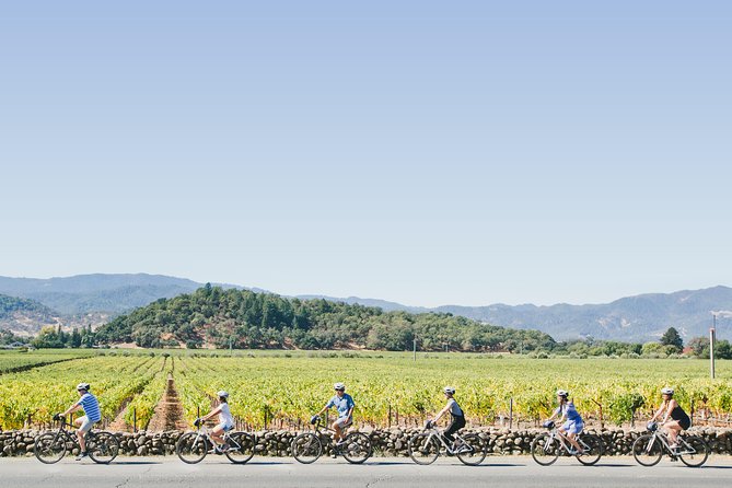 Full-Day Napa Winery E-Bike Tour (with Picnic Lunch) - Starting in Yountville With the Right Bike