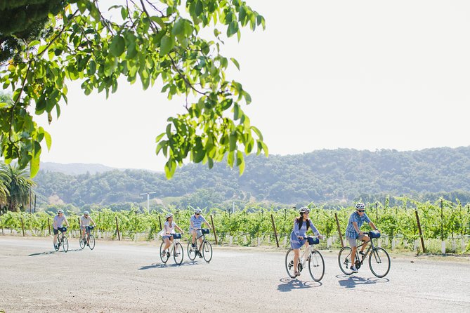 Full-Day Napa Winery E-Bike Tour (with Picnic Lunch) - Who Will Enjoy This Napa Ride Most