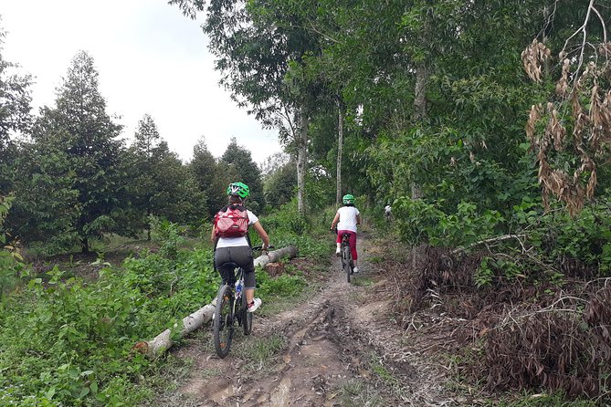 Full Day Off The Beaten Track the Mekong Delta. - Why this Mekong Delta trip feels different