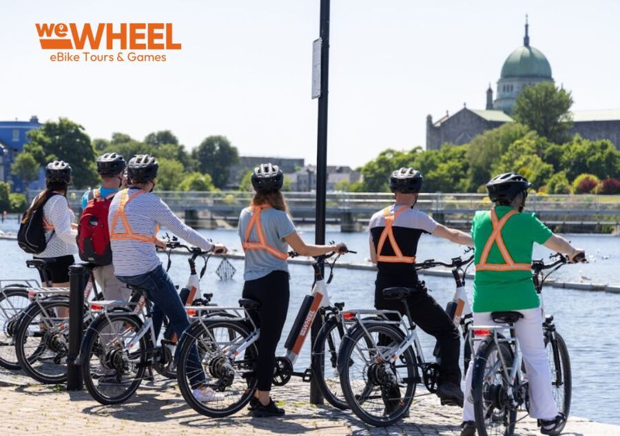 Galway: Guided eBike City Sightseeing Tour - The University of Galway and everyday neighborhoods