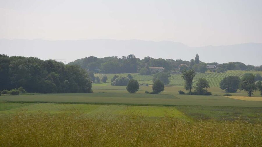 Geneva Countryside And Art Museum At A Castle Wine By E-Bike - The castle and art museum option needs checking