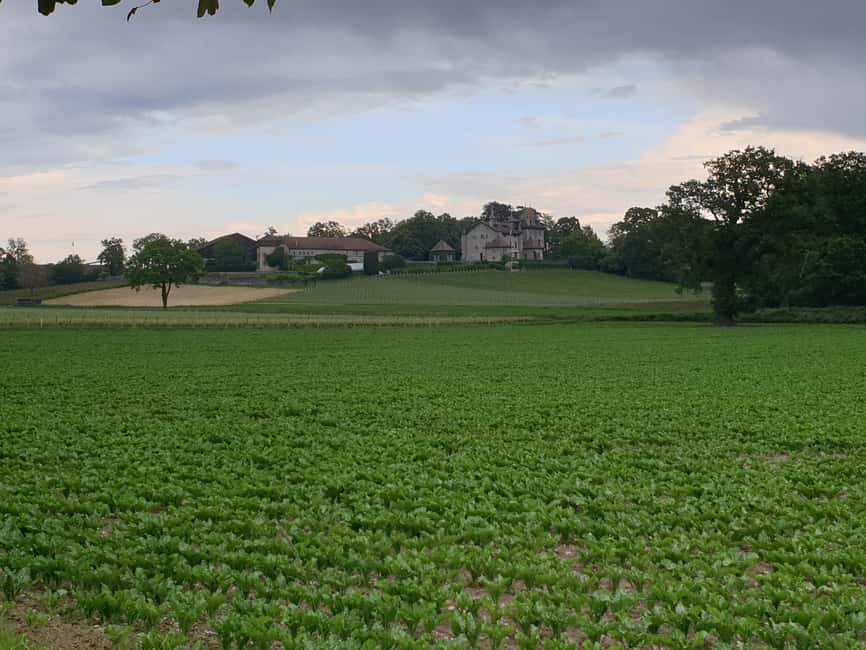 Geneva Countryside And Art Museum At A Castle Wine By E-Bike - What the $140 price really buys