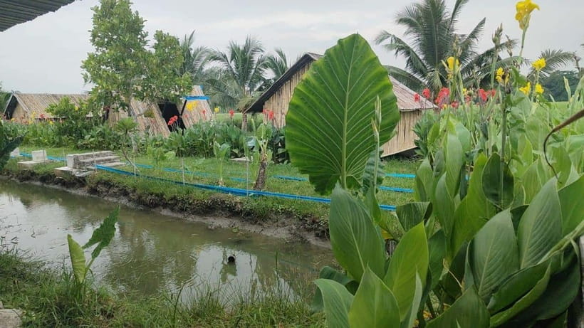 George Town: Balik Pulau Countryside Morning Cycling Tour - Who should book this Balik Pulau ride?