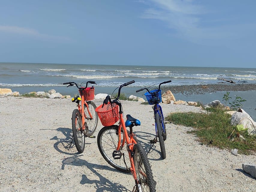 George Town: Balik Pulau Countryside Morning Cycling Tour - The snack break and countryside café