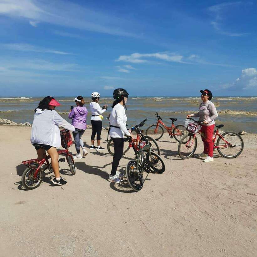 George Town: Balik Pulau Countryside Morning Cycling Tour - The bicycles are the weak point