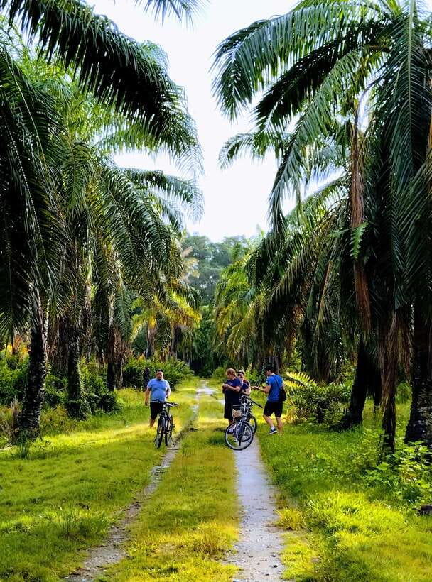 George Town, Penang: Malay Countryside Cycling - Why this countryside ride is worth your morning