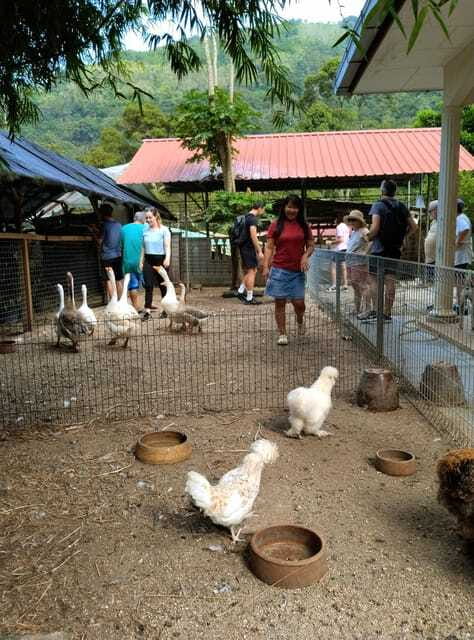 George Town, Penang: Malay Countryside Cycling - What Eddie and TC add to the ride