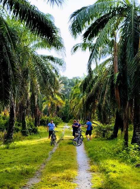 George Town, Penang: Malay Countryside Cycling - Final call: book it for the countryside, not the workout