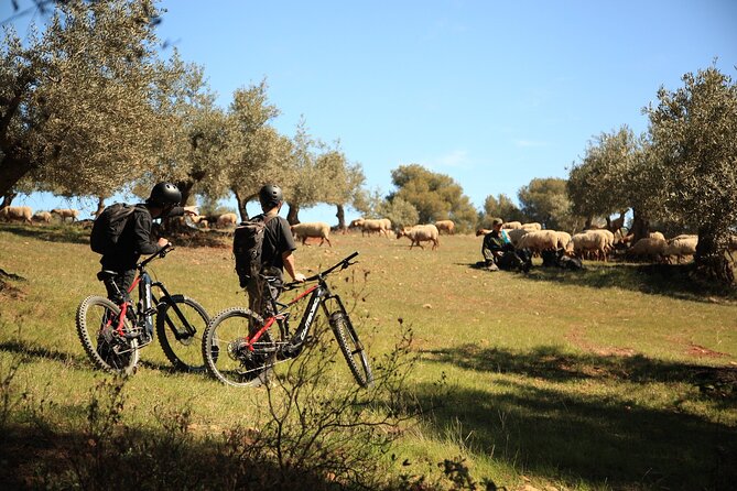 Granada: Nature, Wildlife and Authentic Villages E-bike Tour - Why this ride is different from a city bike tour