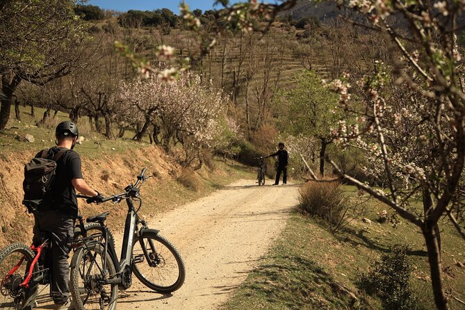 Granada: Nature, Wildlife and Authentic Villages E-bike Tour - Small villages, reservoirs, and working countryside