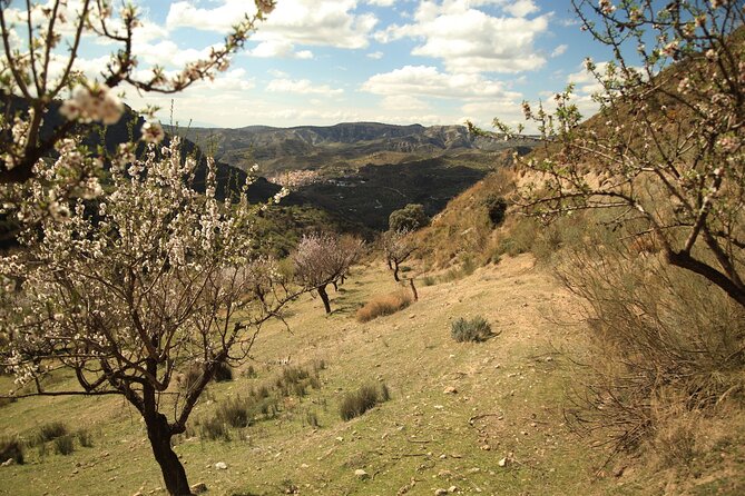 Granada: Nature, Wildlife and Authentic Villages E-bike Tour - A riverside lunch in the middle of the day