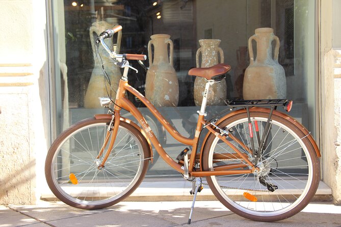 GRAND CITY Private Guided Tour on Bike, E-Bike, E-Step or Segway - Why this route works for a first look at Valencia
