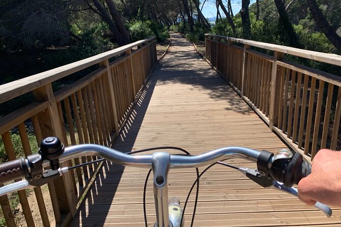GRAND CITY Private Guided Tour on Bike, E-Bike, E-Step or Segway - Forty minutes through the Turia Gardens