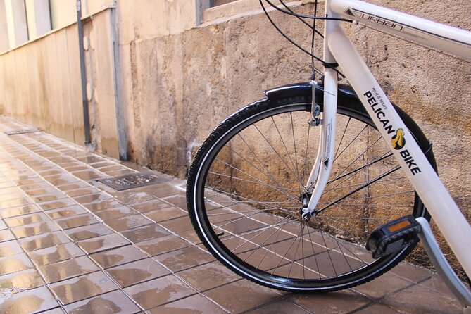 GRAND CITY Private Guided Tour on Bike, E-Bike, E-Step or Segway - Guides who make the difference
