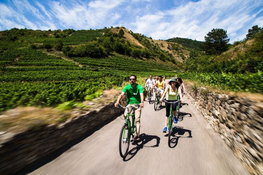 Grape Grazing: Wachau Valley Winery Biking Tour - Why the Wachau Valley Works So Well by Bicycle